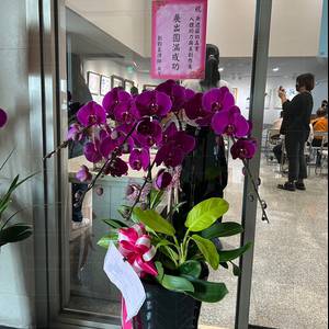 無遮蔽的真實202309