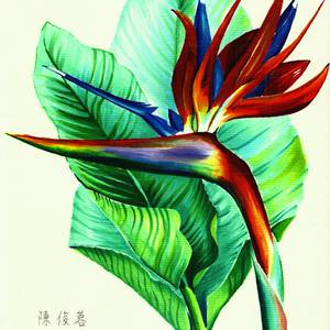 麥克筆技法 412